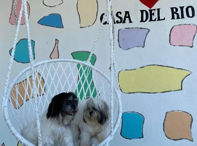 Casa Delrio Camotes Esperanza